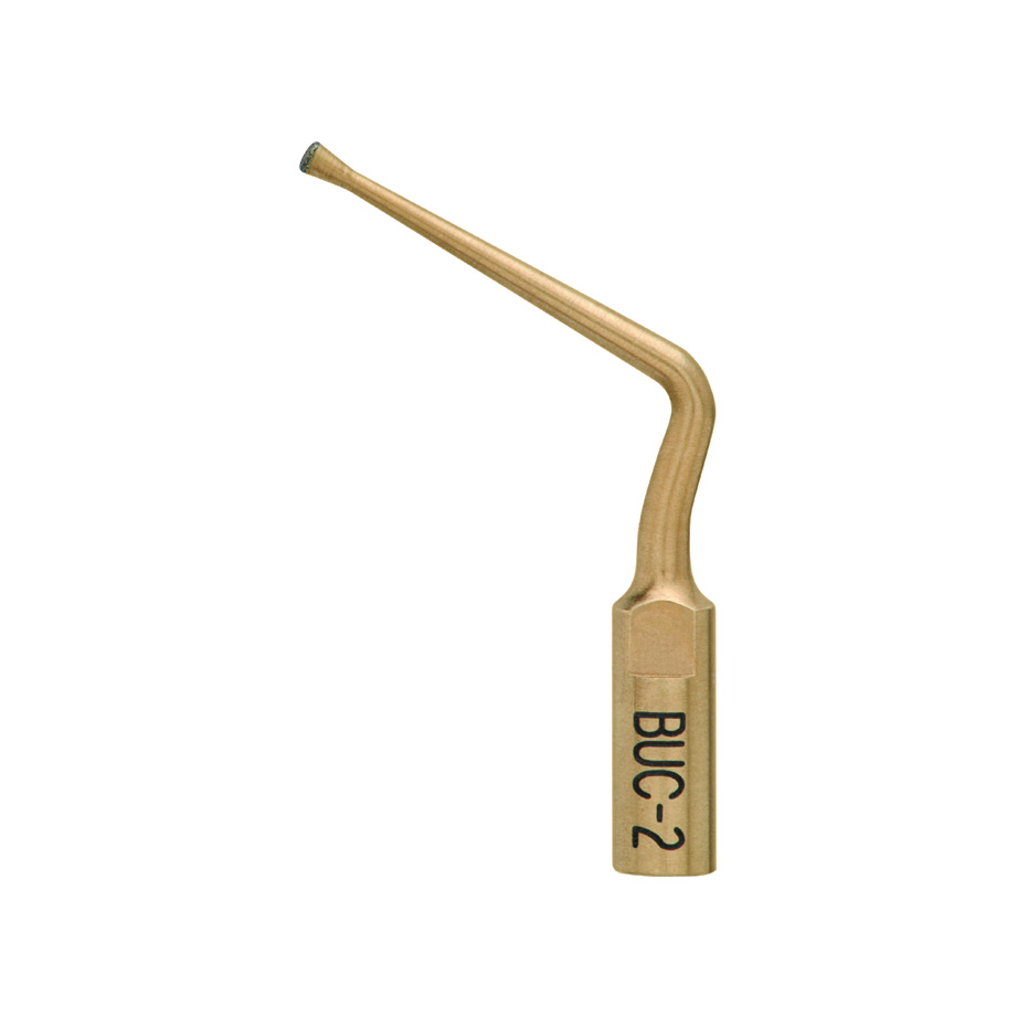 Ultrasonic BUC #2 disc (EMS) (BUC-2E) - Technomedics