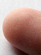 Fingertupp forstørrelse 2.3X. Foto.