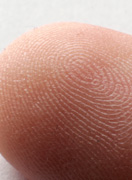 Fingertupp forstørrelse 2.8X. Foto.