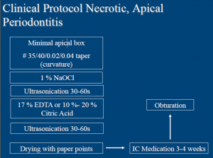 Irrigasjonsprotokoll del 2. Bilde.