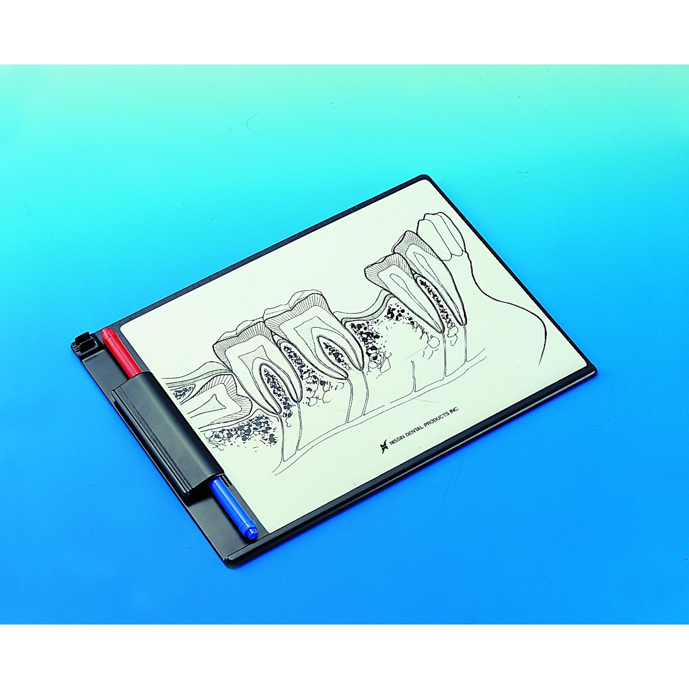 8678.p13-tr200