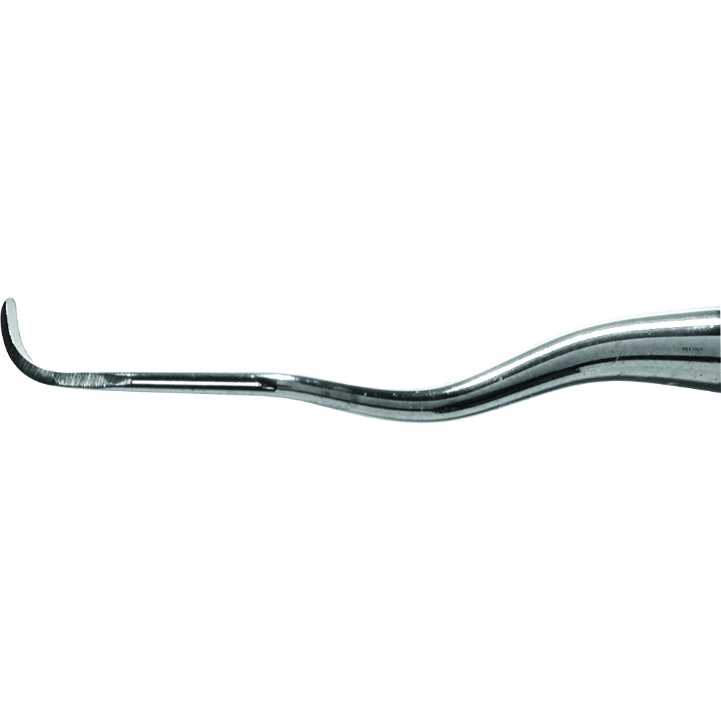 aegdp11