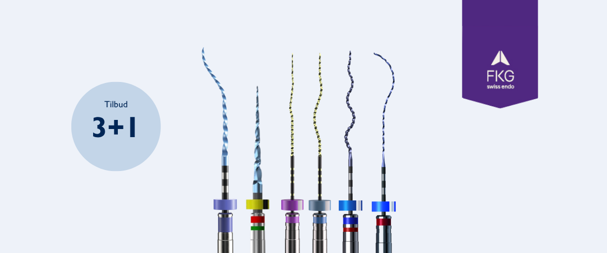 FKG 3+1
