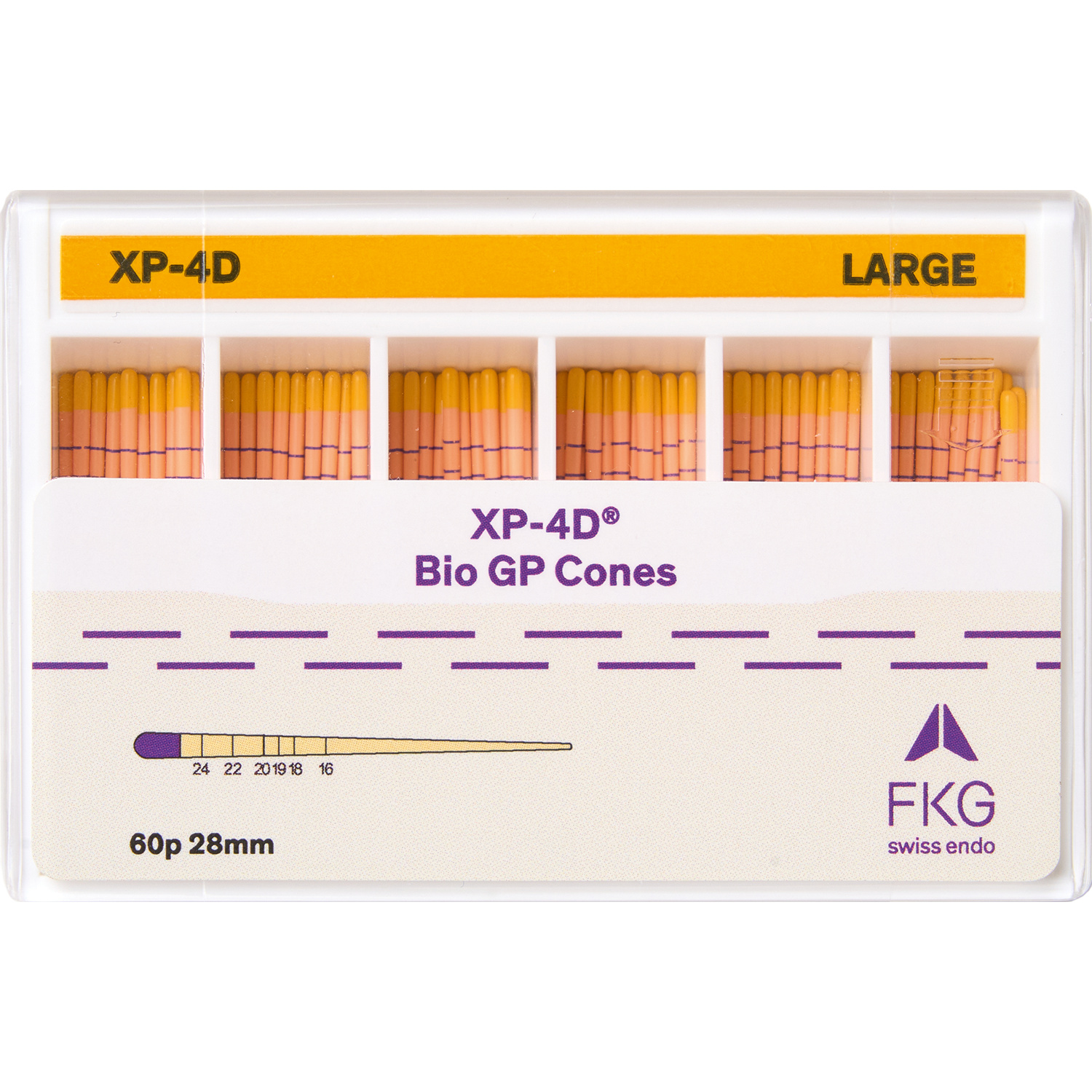 fkg_xp-4d-bio-gp-cones-large_60pcs_box_weboffice